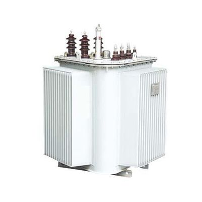 Transformateur immergé dans l'huile 10/0.4KV 30-1600KVA de S13 S14 LMR